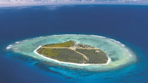 Australien Lady Elliot Island (2)