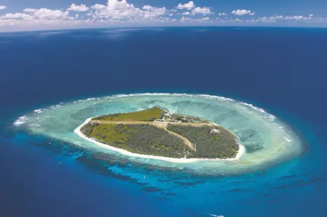 Australien Lady Elliot Island (2)