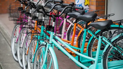 Cykelture i Japan