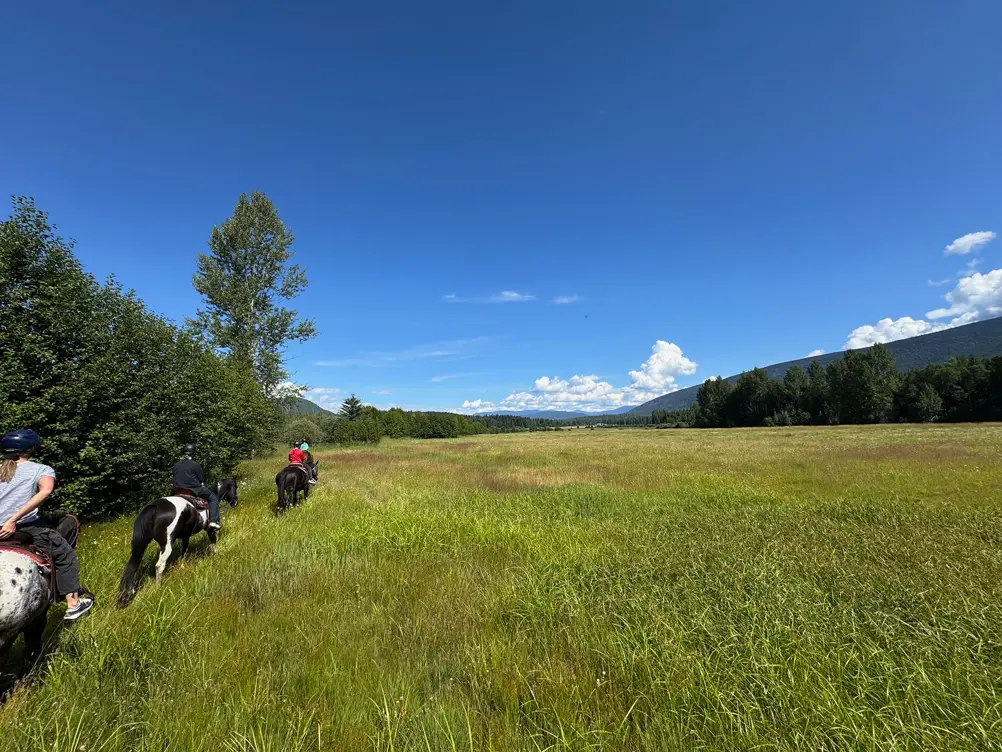 Familien Lægårds canadiske eventyr