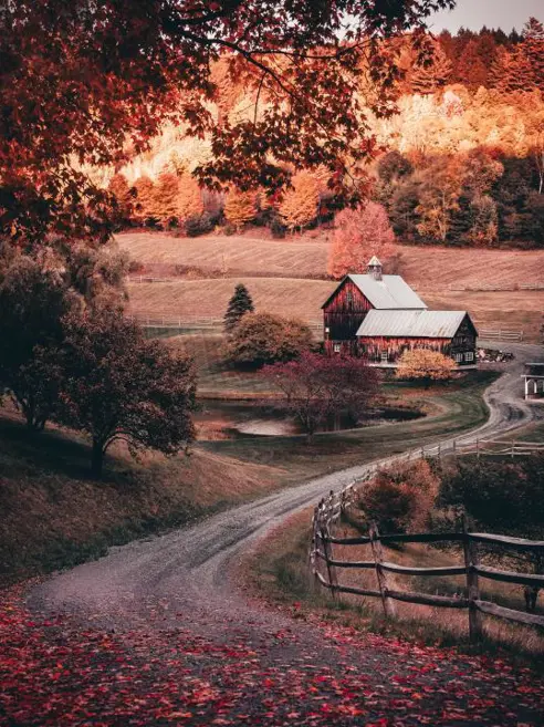 new england