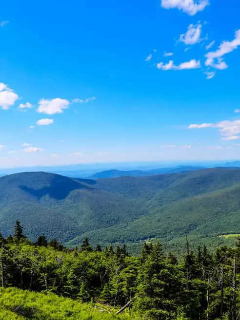 Stowe Green Mountain