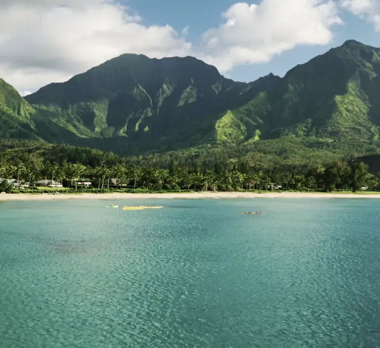 familieferie-pa-hawaii-hero_0.png (1)