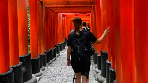 Torii i Kyoto