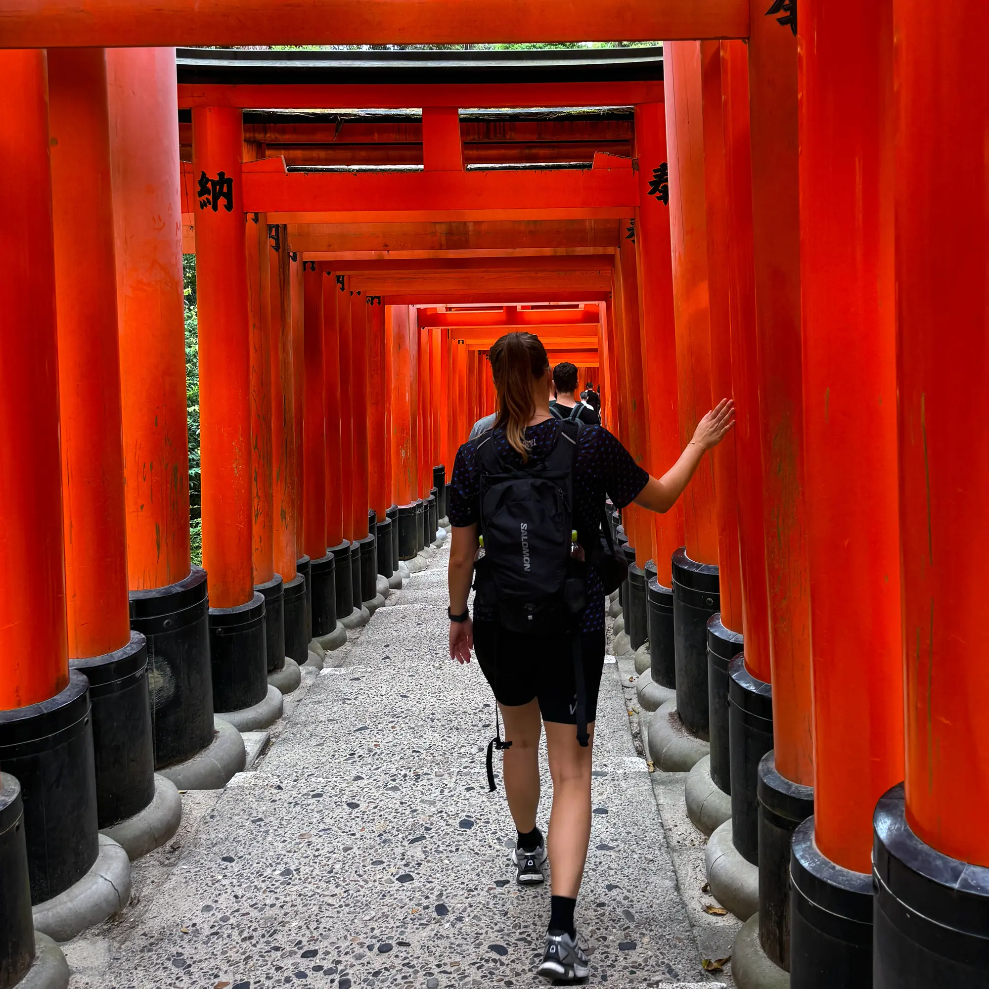 Torii i Kyoto