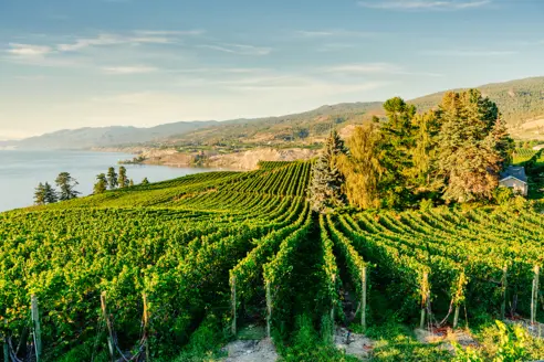 Okanagan Valley Canada
