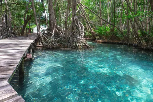 Celestun Biosphere Reserve