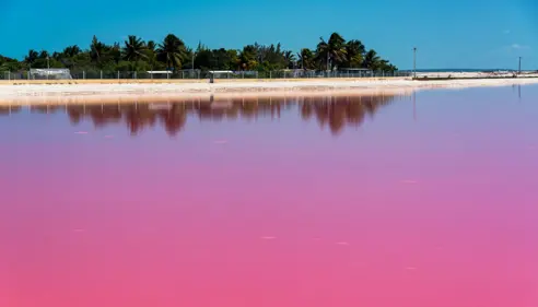 Las Coloradas
