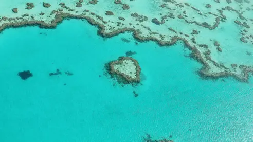Australien Great Barrier Reef Heart Reef