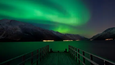alaska-nordlys.jpg
