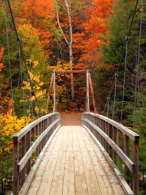 new-england-white-mountains.jpg