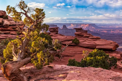 Abajo Mountains fra Dead Horse Point State Park, Utah