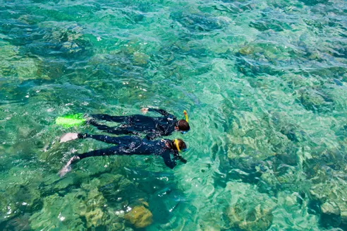 Australien Great Barrier Reef Snorkling