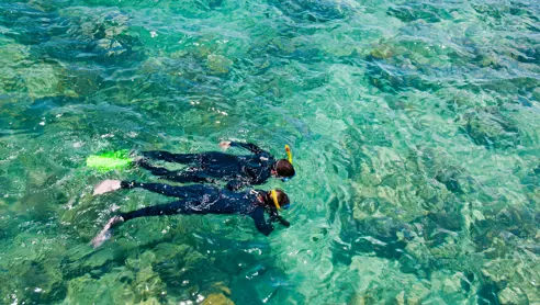 Australien Great Barrier Reef Snorkling