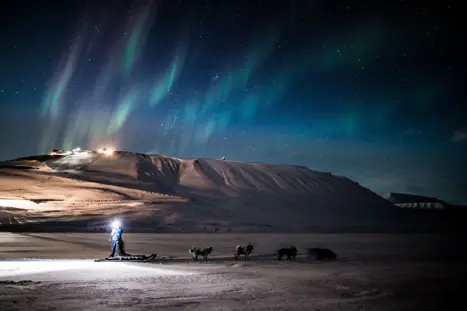 GREENDOGSVALBARD SMALL KULD 141 6559930 Photo Green Dog