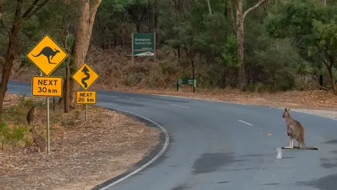 Kør-selv i Australien