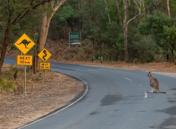 Kør-selv i Australien