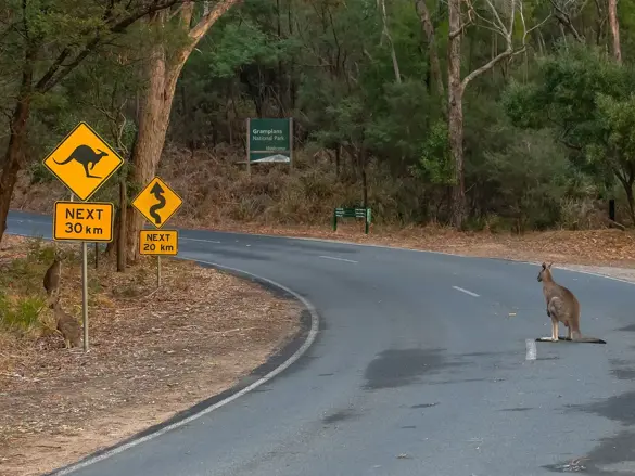 Kør-selv i Australien