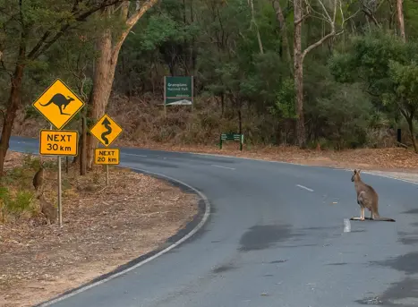 Kør-selv i Australien