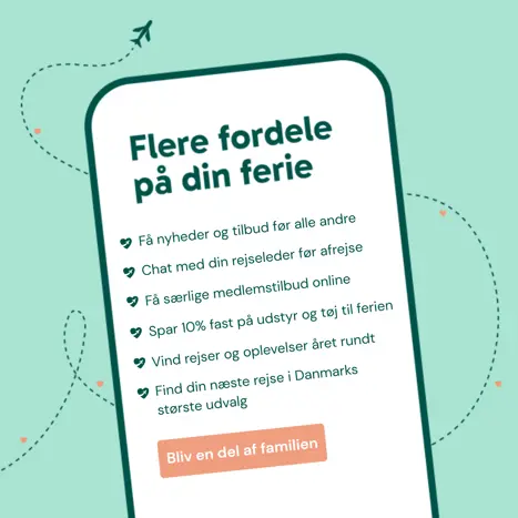 Fordele (3).png
