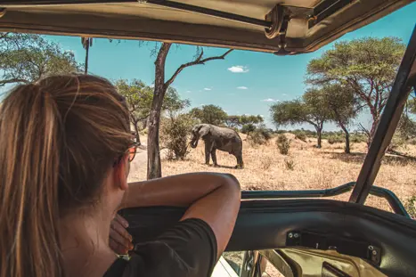 Safari i Tanzania