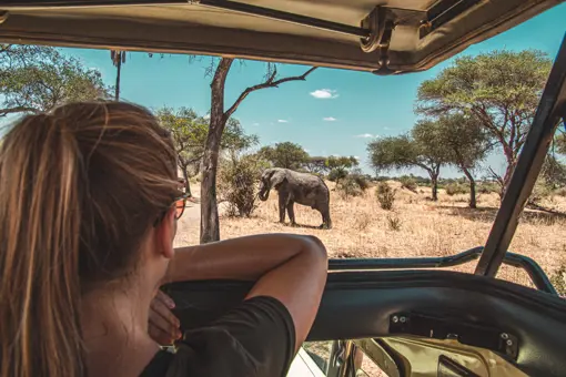 Safari i Tanzania