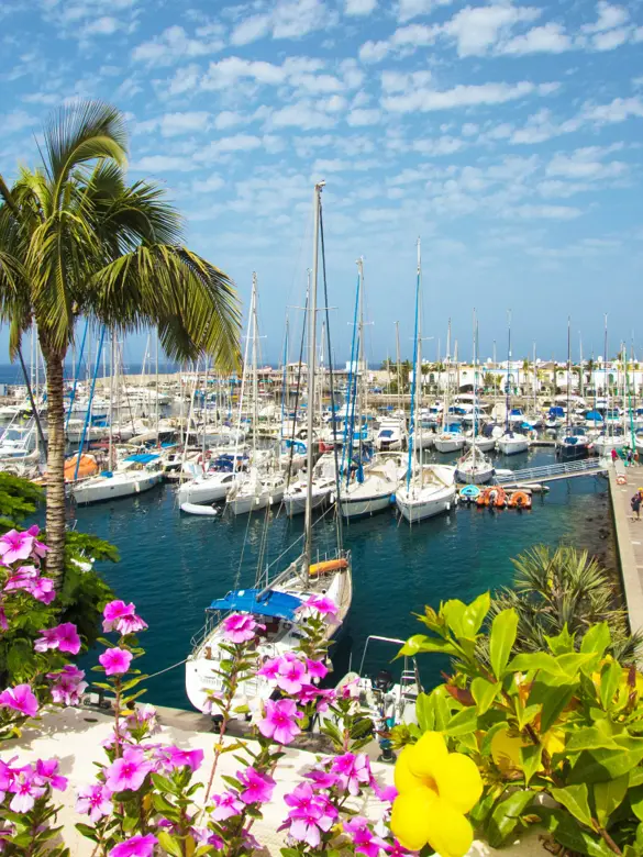 Mogan Puerto48.WEB.jpg