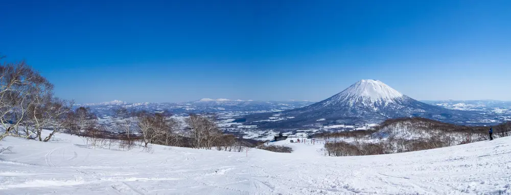 Always Niseko