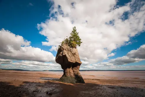 Hopewell Rocks Provincial Park i Canada