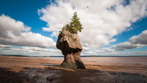 Hopewell Rocks Provincial Park i Canada