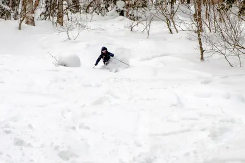 Skirejser til Furano i Japan