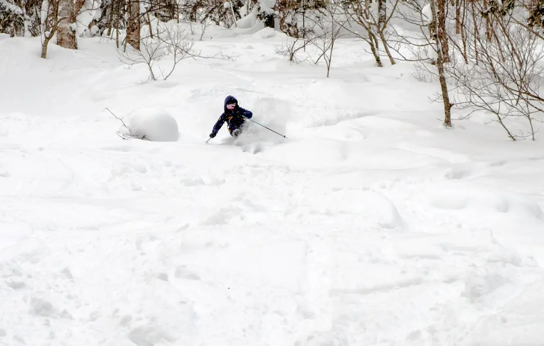 Skirejser til Furano på Hokkaido i Japan