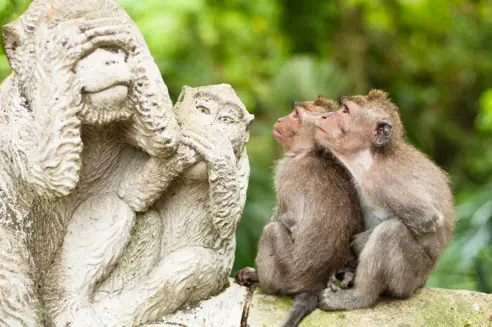 To aber kigger på statue i Sacred Monkey Forest, Ubud, Indonesien