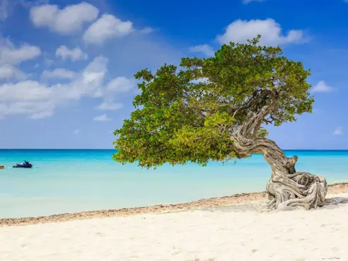 Aruba