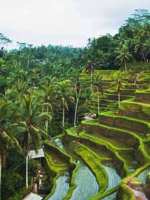 Ubud