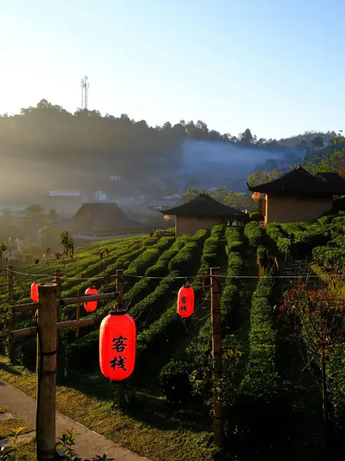 Chiang Mai (6)