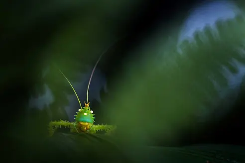 Web Bigai Ecuador D4A5676