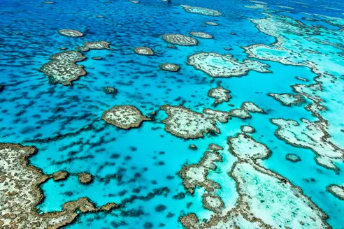 Australien Queensland Great Barrier Reef