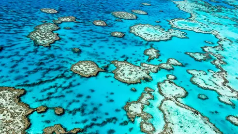 Australien Queensland Great Barrier Reef