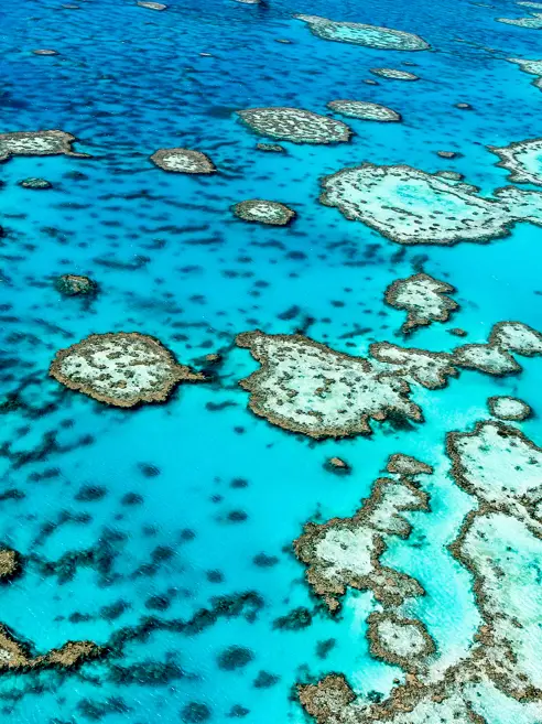 Australien Queensland Great Barrier Reef