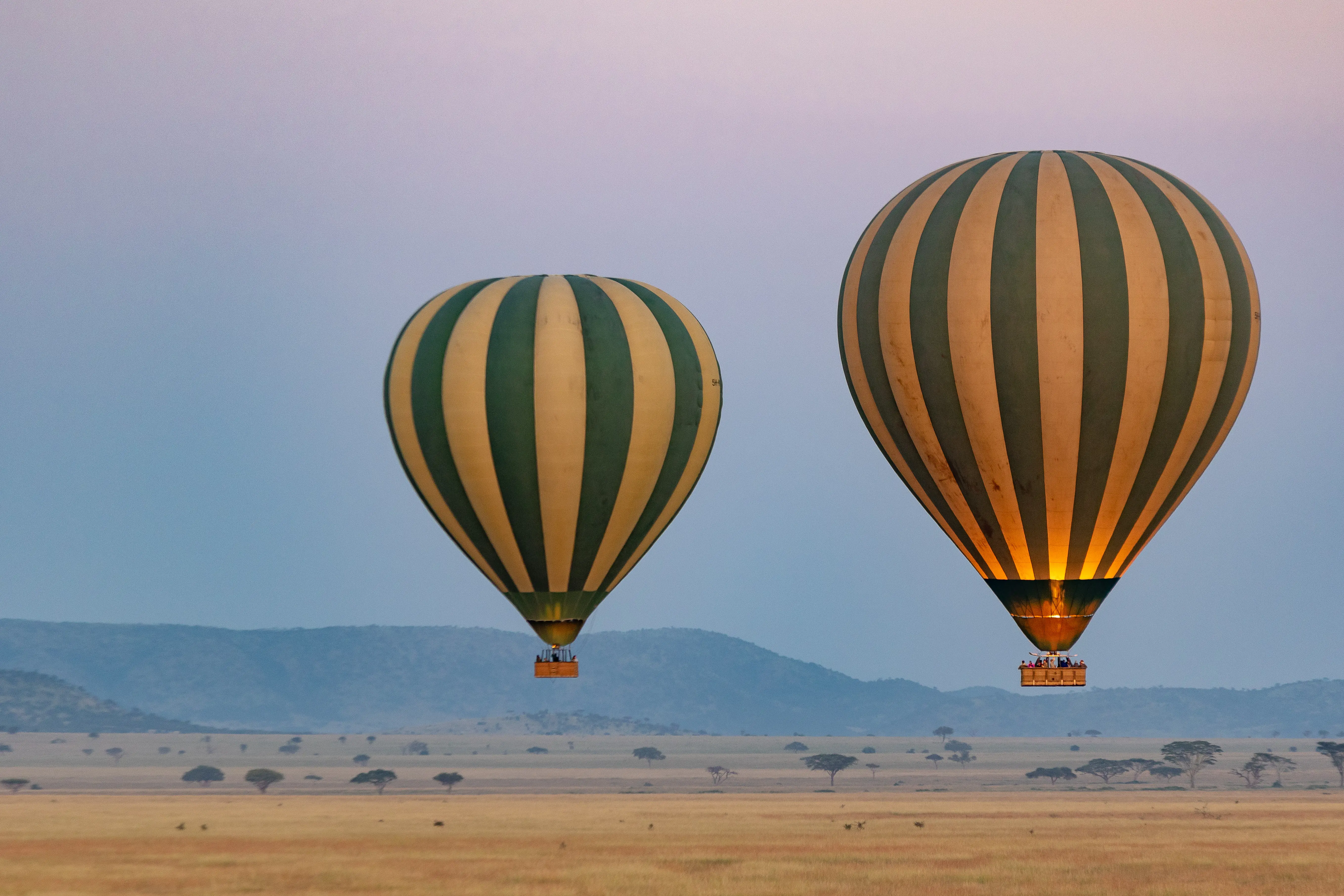 Luftballon udflugt i Serengeti eller Tarangire National Park Tanzania