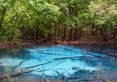 Thung Teao Forest Natural Park, Emerald Pool