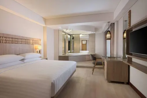 1 Bedroom Junior Suite