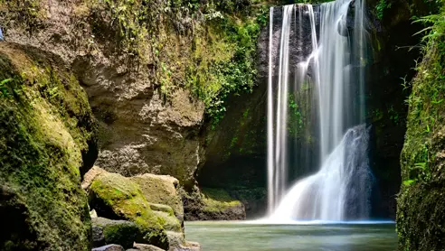 Uma Vanfald Ubud Område