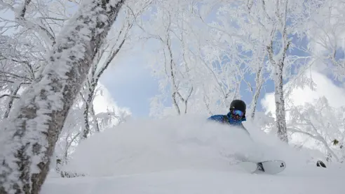 Rusutsu powder skiing i Japan