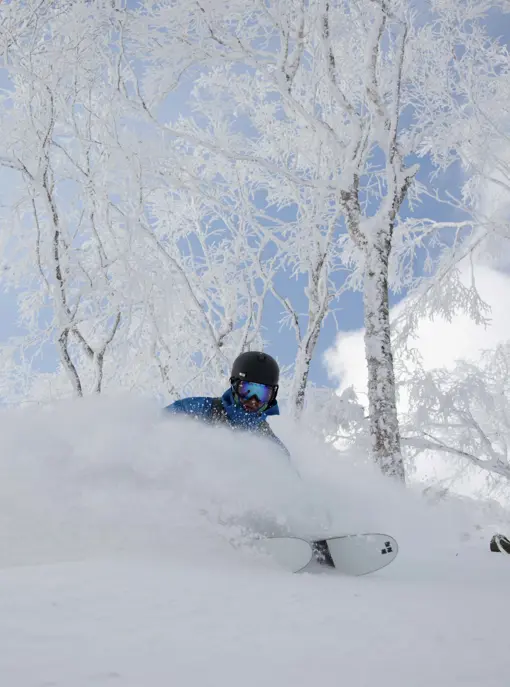 Rusutsu powder skiing i Japan