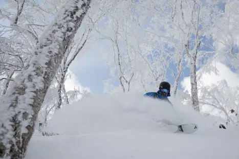 Rusutsu powder skiing i Japan