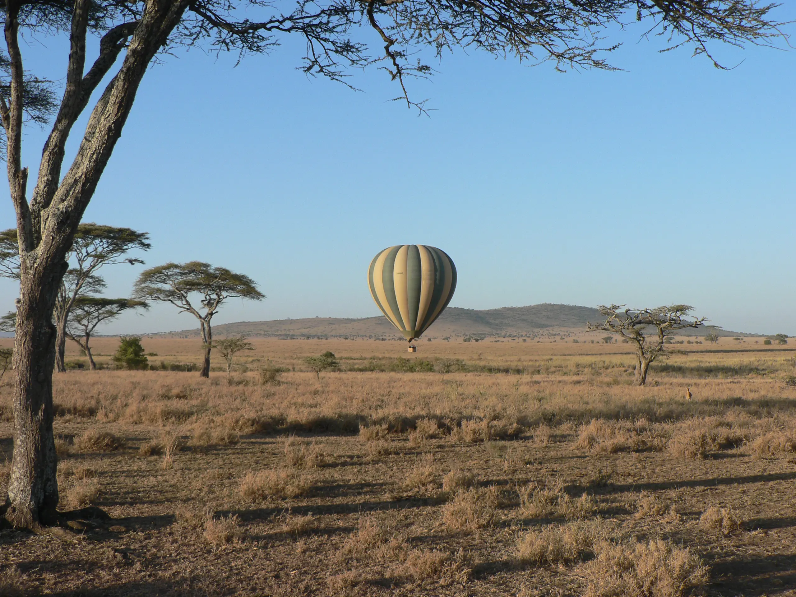 Ballonsafari i Tanzania