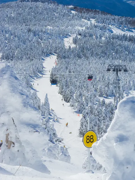 Skibakke i Japan