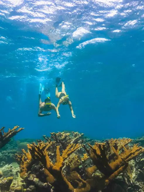 Friends Snorkeling